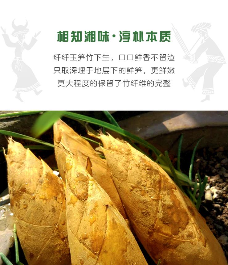 小科普 你爱吃的竹笋竟然有这么多品种 知乎