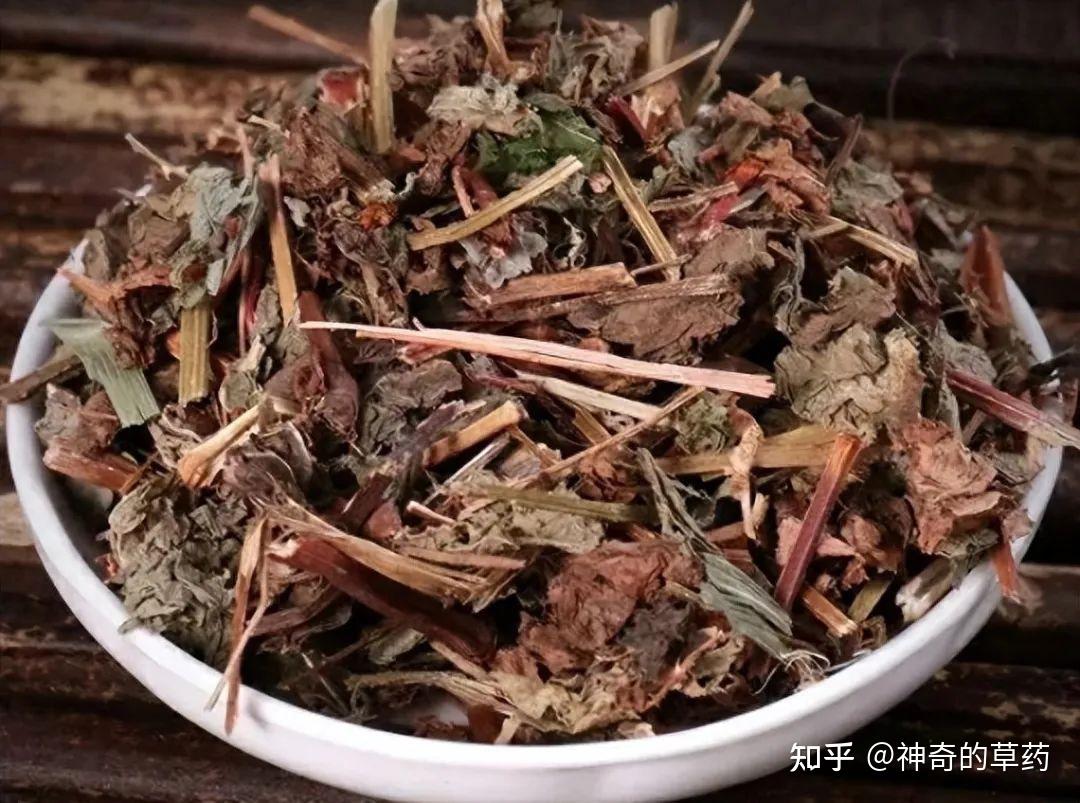 中药材:杠板归 - 知乎