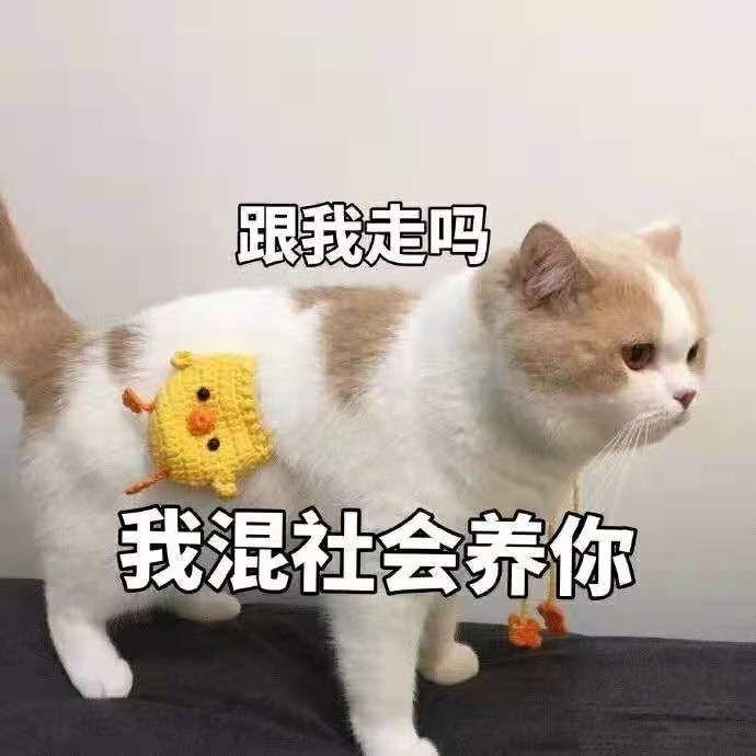 v2-ffb4f7fae450f565715d1a531fbf6a91_r.jpg