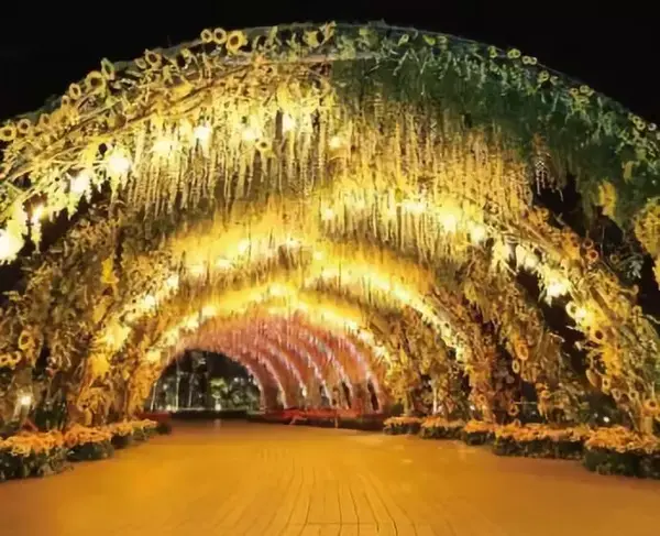 槟城新景点 四季拱型花海隧道 知乎