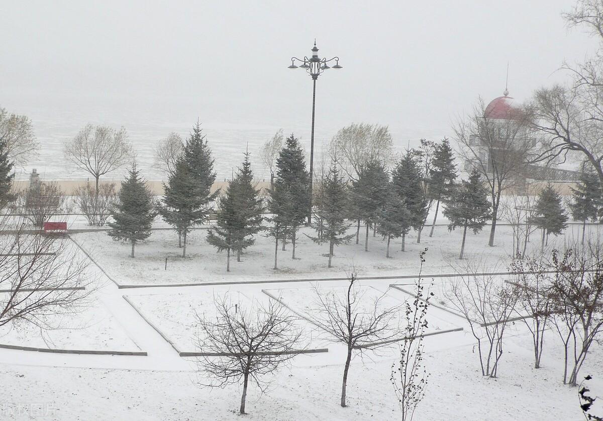 《寒冬颂雪》：飞絮曼舞，冬日的白色赞歌 (寒冬谁写的)