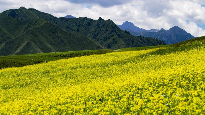 西北有哪些不可错过的旅游美景? 49 v2 ffc9e87cadeeaa88caec61adfb76b8bd 720w