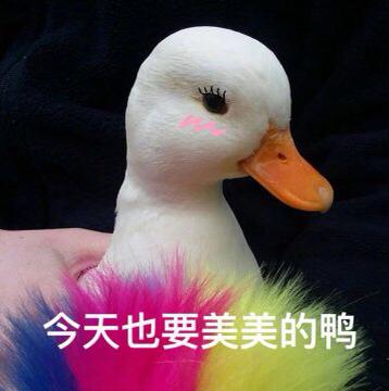 v2-ffe6d9ac0277ae70fc4a6184aaec7947_1440w.jpg?source=172ae18b
