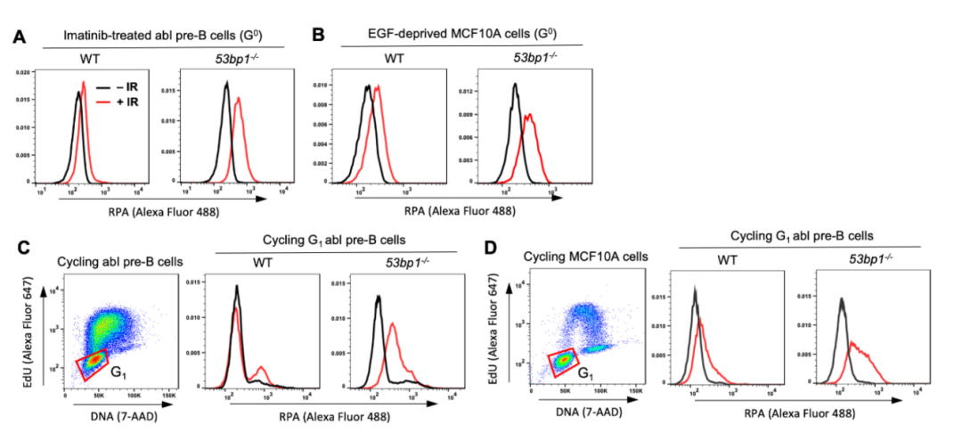 实验方案系列︱一种基于流式细胞术的分析哺乳动物细胞细胞周期G0和G1期DNA末端切除的方法 - 知乎